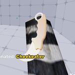 a screenshot of me inspecting a diamond karambit in a rivals duel